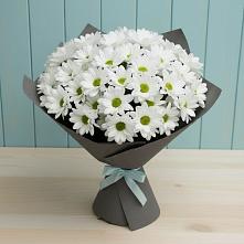 Букет цветов из:  Хризантемы #REPLACE_PRED# Агирише